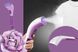 Ручний відпарювач для одягу + насадка щітка, 1000Вт, WELX Hand Steamer / Вертикальна парова праска 02345703260 фото 7