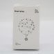 Розумна WiFi розетка з енергометром, на 20А, Tuya Smart 4400Вт, Біло-Сірий / Смарт розетка з лічильником електроенергії  023456741602 фото 9