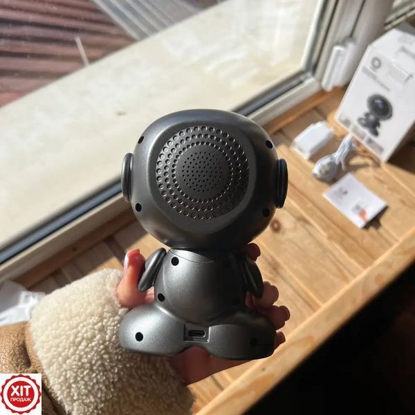 Поворотна відеокамера від USB 360&deg; Q1, Чорна / Цифрова відеоняня з мікрофоном / Дротова камера спостереження для дітей та тварин 0234592710 фото