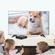 Smart TV приставка 4GB/64GB + пульт, Android 5, MXQ 4K Pro / Андроїд приставка для ТВ / Медіаплеєр / Смарт ТВ  023457116001 фото 6