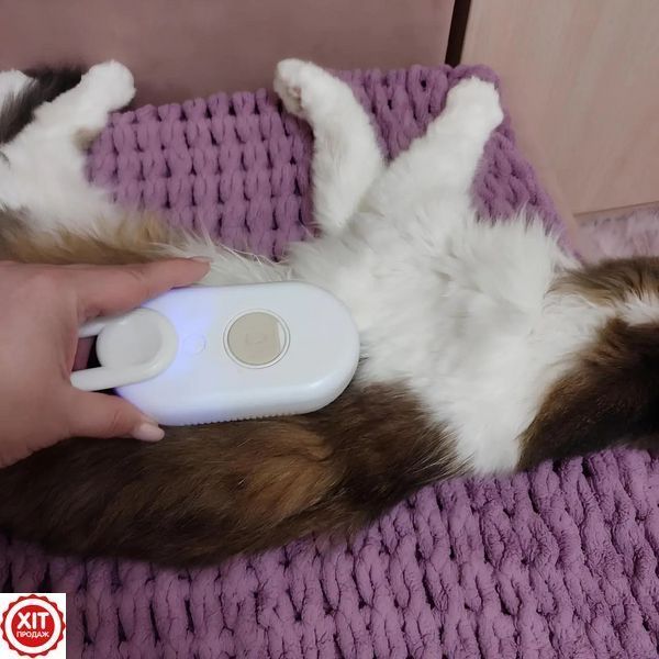 Щітка гребінець з паром для котів та собак, від USB, Steamy Brush E-W3317 / Щітка для вичісування шерсті  0234572512 фото
