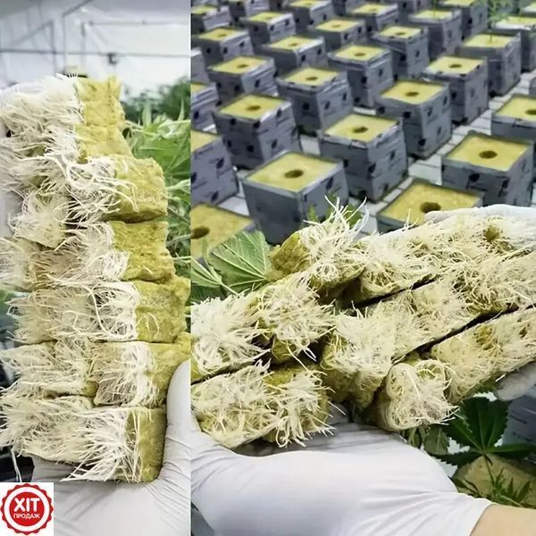 100шт Кубики з мінеральної вати 2,5 см / Кубик для пророщування насіння / Мінераловатний блок для пророщування 0234579592 фото