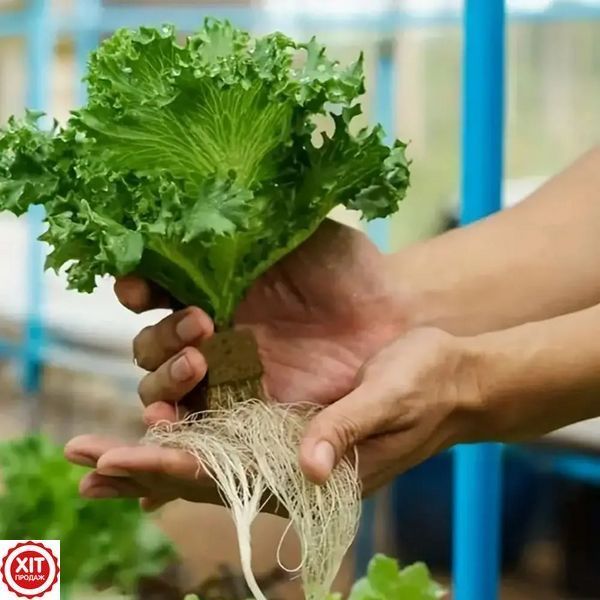 100шт Кубики з мінеральної вати 2,5 см / Кубик для пророщування насіння / Мінераловатний блок для пророщування 0234579592 фото