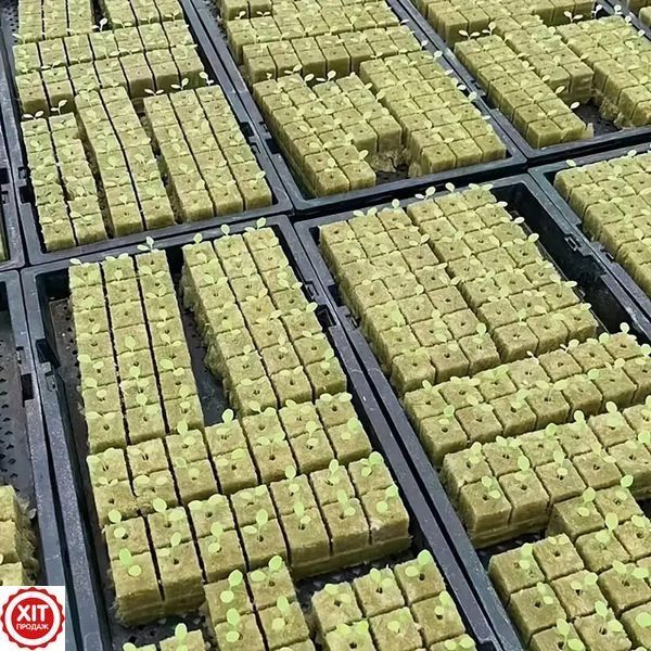 100шт Кубики з мінеральної вати 2,5 см / Кубик для пророщування насіння / Мінераловатний блок для пророщування 0234579592 фото