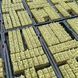 100шт Кубики з мінеральної вати 2,5 см / Кубик для пророщування насіння / Мінераловатний блок для пророщування 0234579592 фото 5