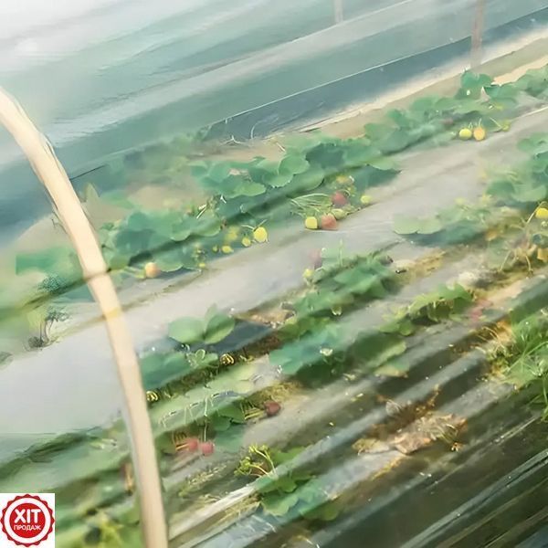 Теплична плівка 4х10м, Прозора / Плівка для парників / Плівка для теплиць / Плівка для укриття теплиць 0234578426 фото